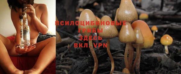 МДМА Новозыбков