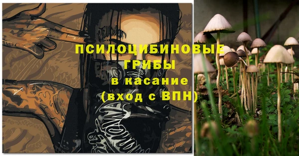 МДМА Новозыбков