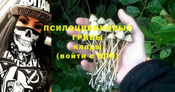 МДМА Новозыбков
