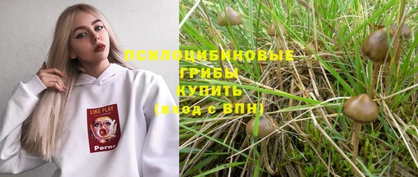 мет Новодвинск
