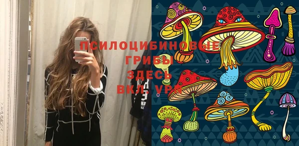 МДМА Новозыбков