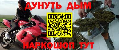СК Гагарин