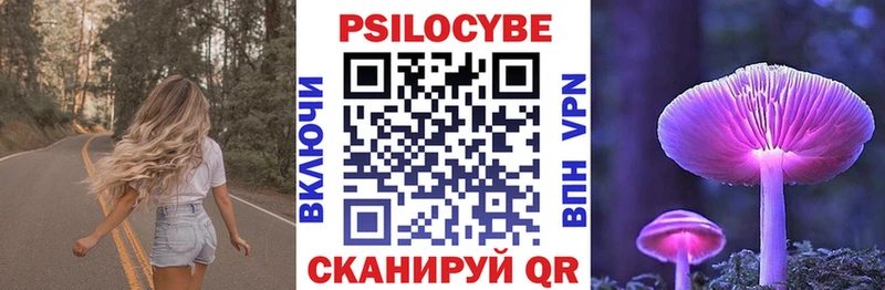 Псилоцибиновые грибы мицелий  купить закладку  Серов 