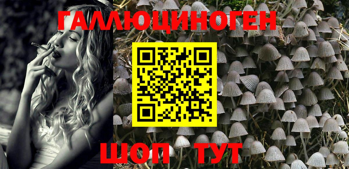 Псилоцибиновые грибы Cubensis Серов