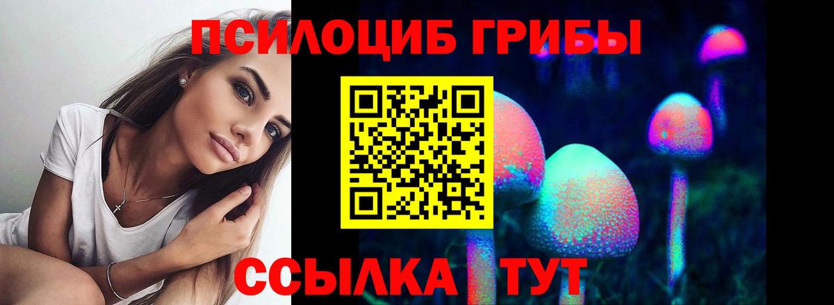 Галлюциногенные грибы Psilocybine cubensis  Вход с VPN  Серов 