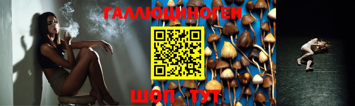 Галлюциногенные грибы MAGIC MUSHROOMS  Серов 